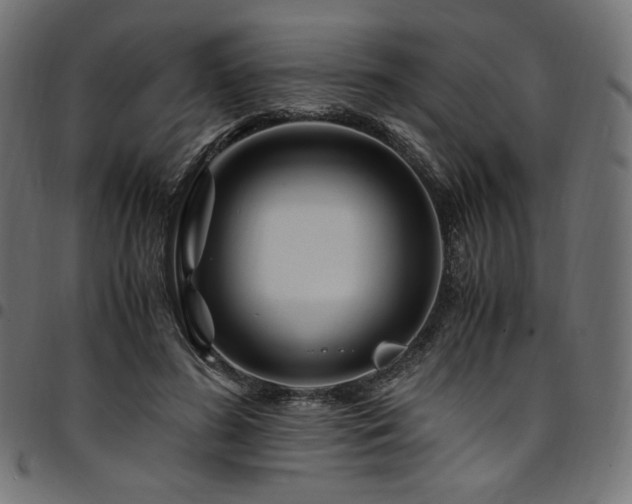 X0000095540596200712141526