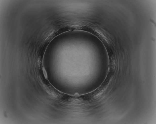 X0000095540597200712141526