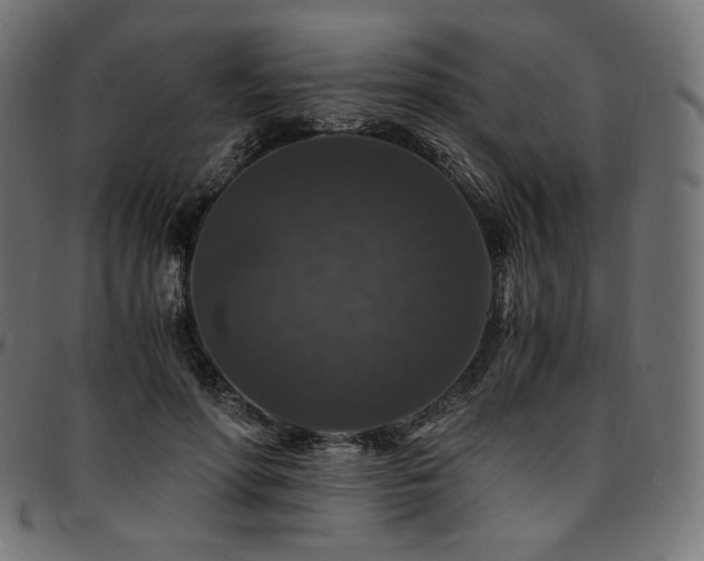 X0000095540598200712141526