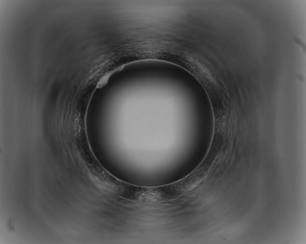 X0000095540599200712141526