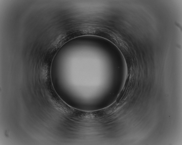 X0000095540600200712141526