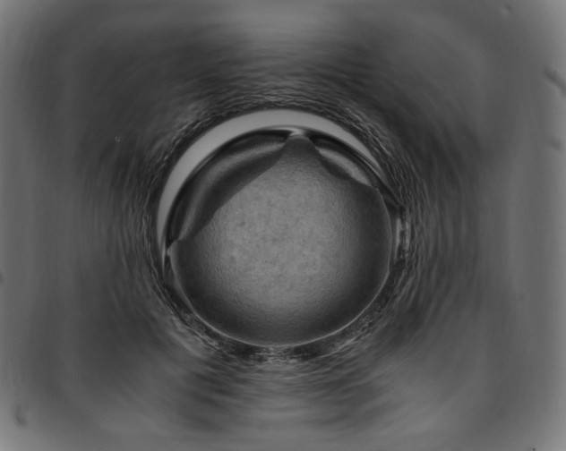 X0000095540601200712141526