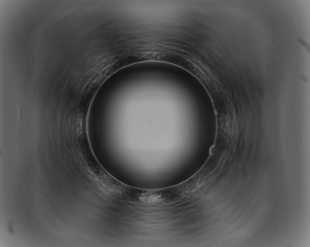 X0000095540602200712141526