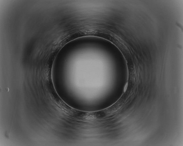 X0000095540604200712141526