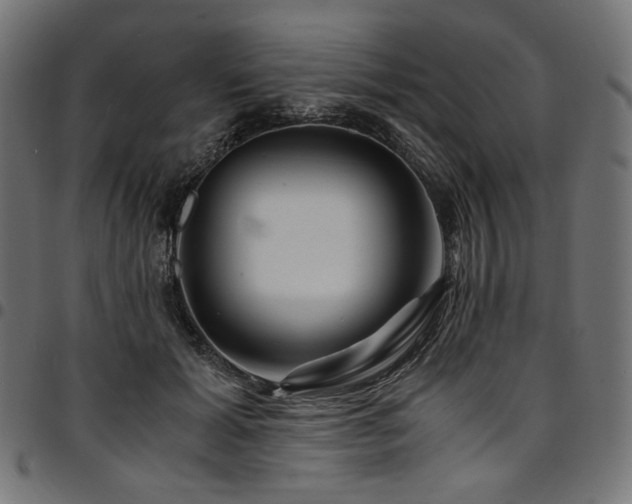 X0000095540605200712141526