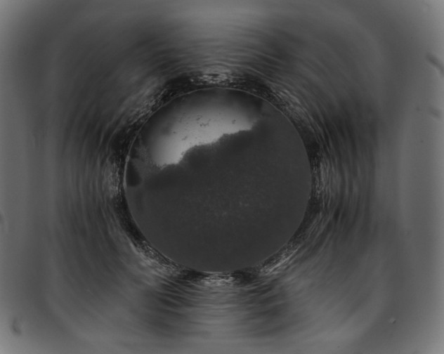 X0000095540606200712141526