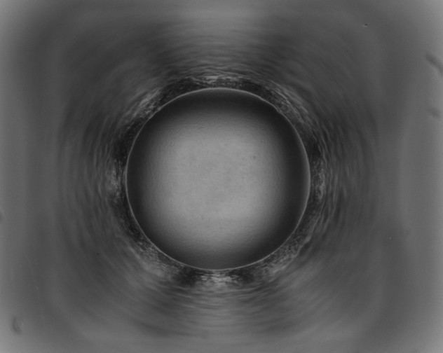 X0000095540607200712141526