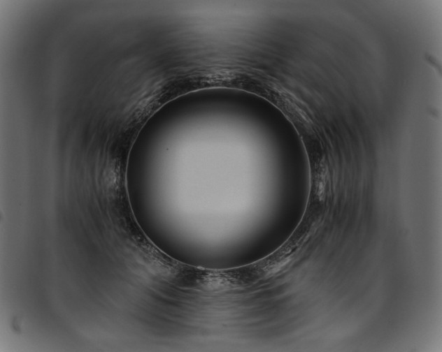 X0000095540608200712141526