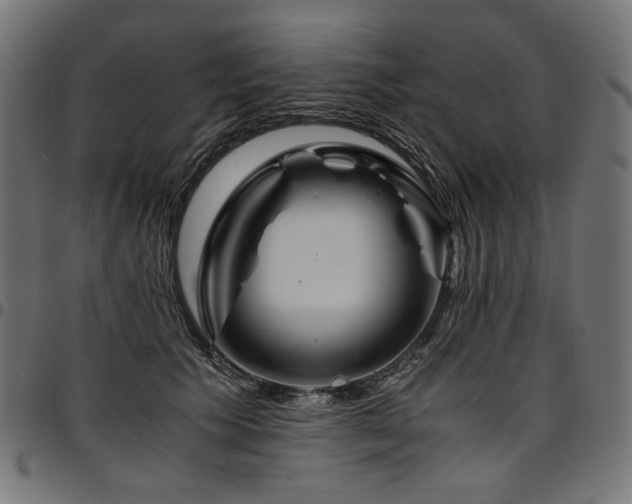 X0000095540609200712141526