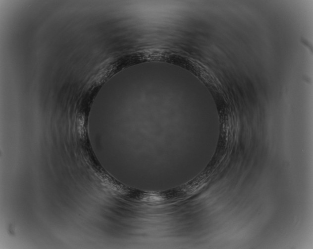 X0000095540610200712141526