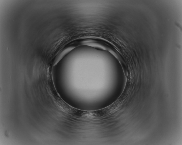 X0000095540611200712141526