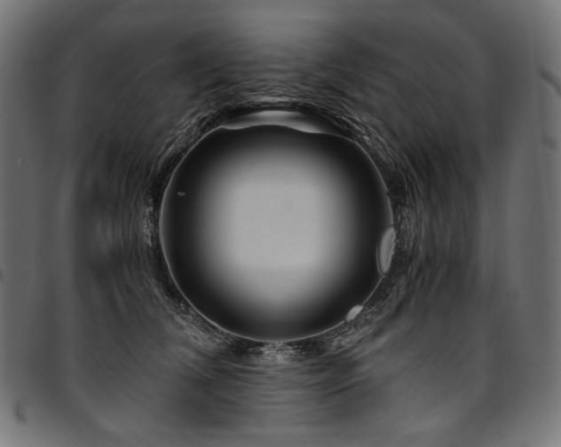 X0000095540612200712141526