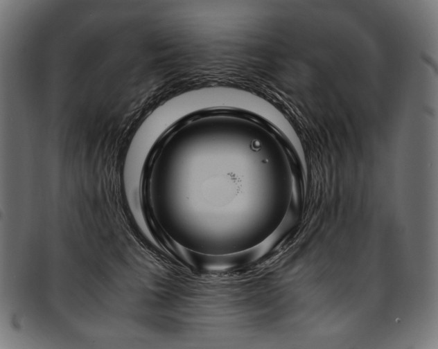 X0000095540613200712141526