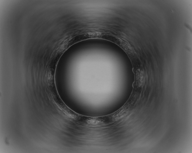 X0000095540614200712141526