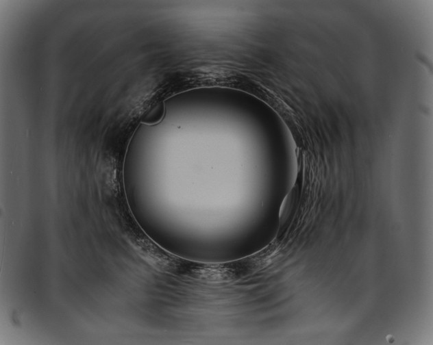 X0000095540615200712141526