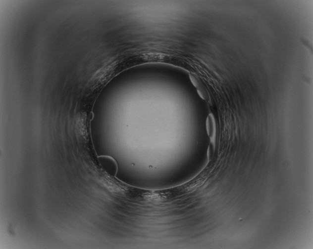 X0000095540616200712141526