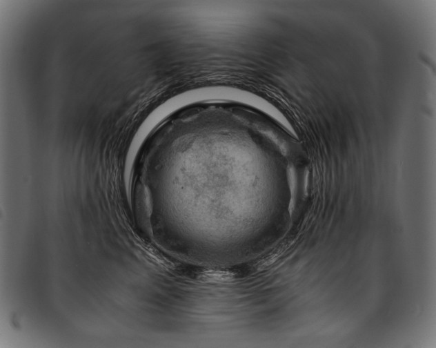 X0000095540617200712141526