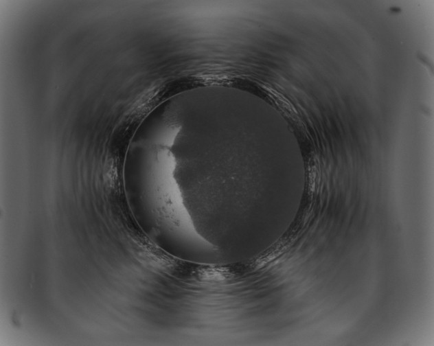 X0000095540618200712141526