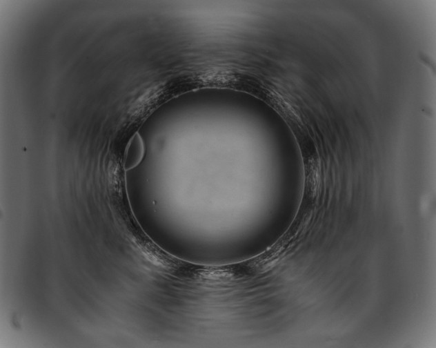 X0000095540619200712141526