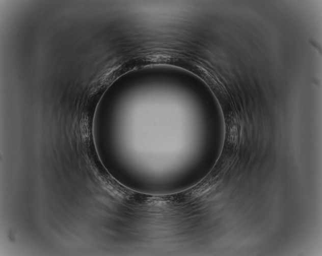 X0000095540620200712141526