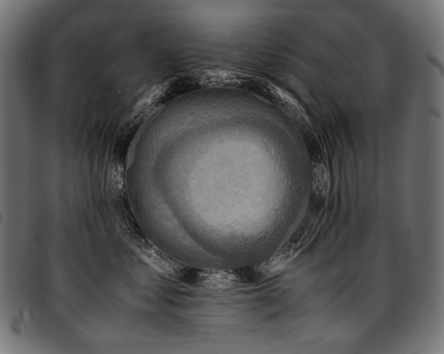 X0000095540621200712141526