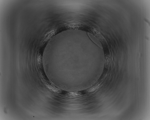 X0000095540623200712141526