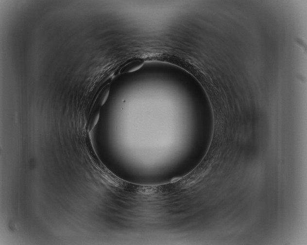 X0000095540624200712141526