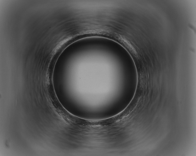 X0000095540628200712141525