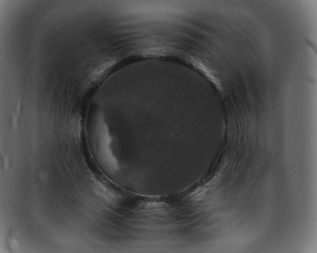 X0000095540637200712141525