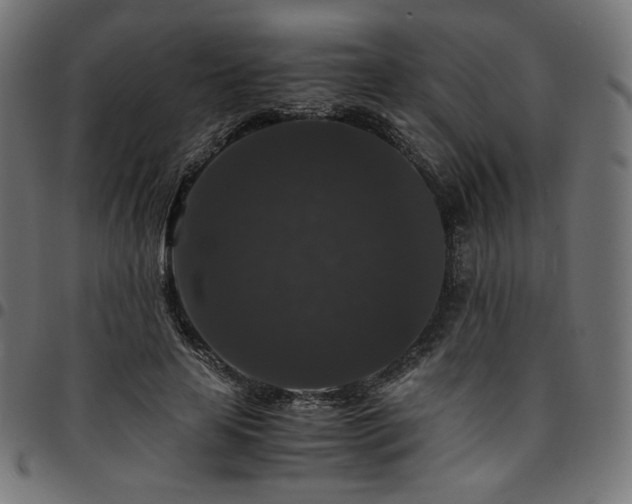 X0000095540641200712141525