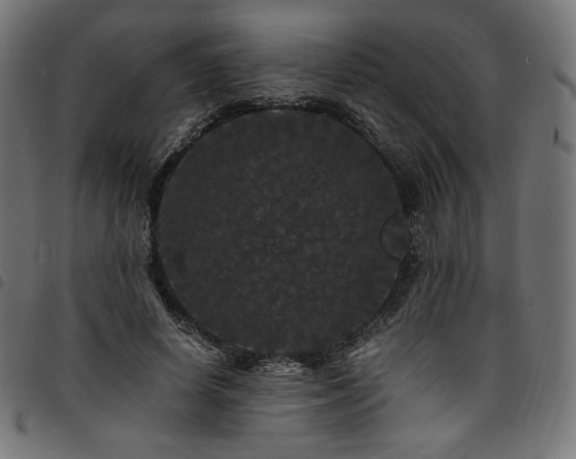 X0000095540642200712141525