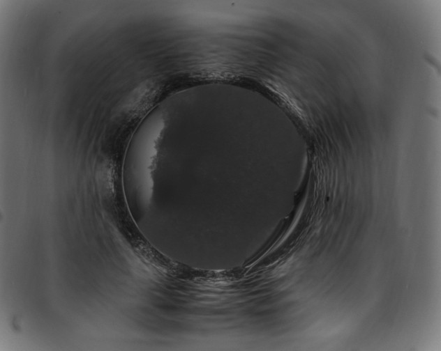 X0000095540643200712141526