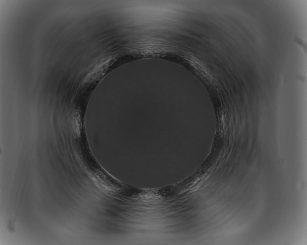 X0000095540644200712141526