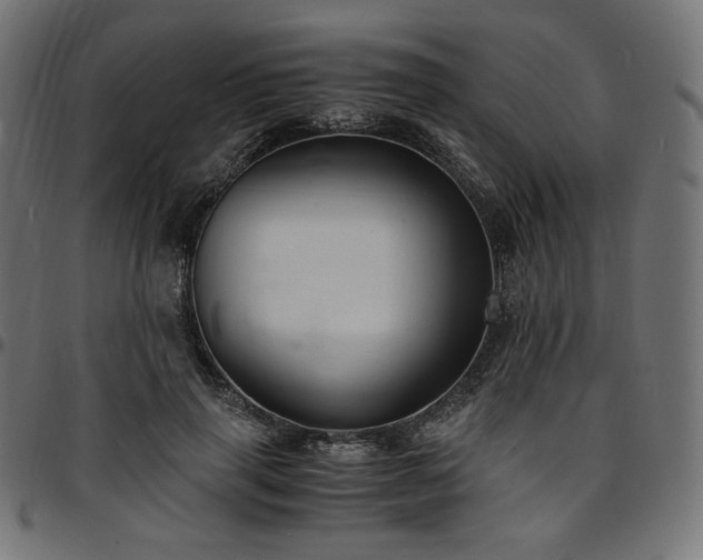 X0000095540645200712141526