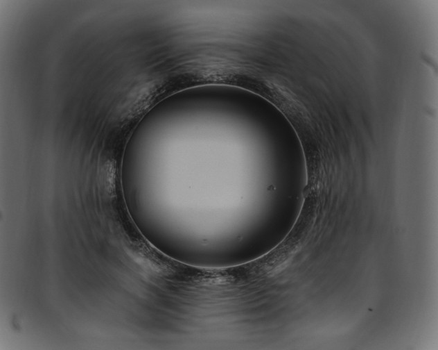 X0000095540646200712141526