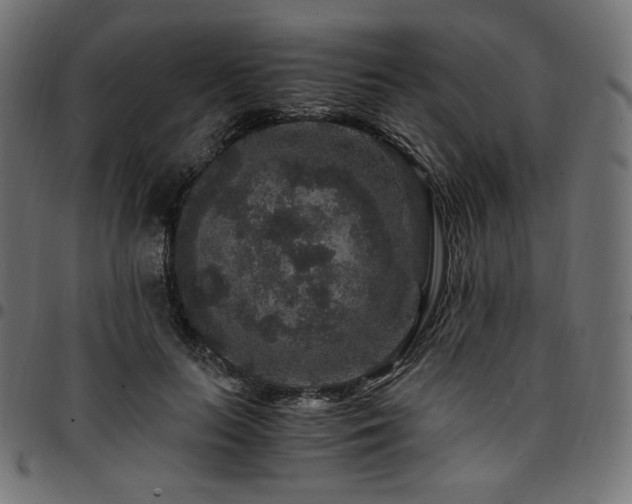 X0000095540647200712141526