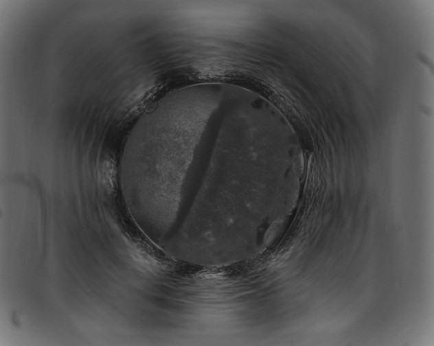 X0000095540648200712141526