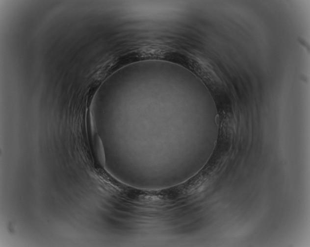 X0000095540649200712141526