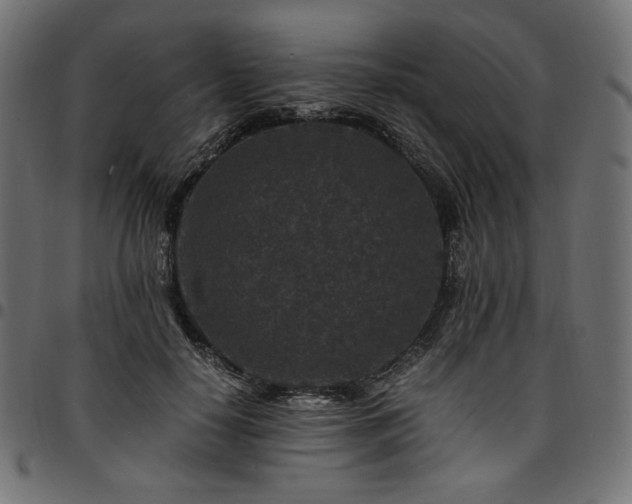 X0000095540650200712141526