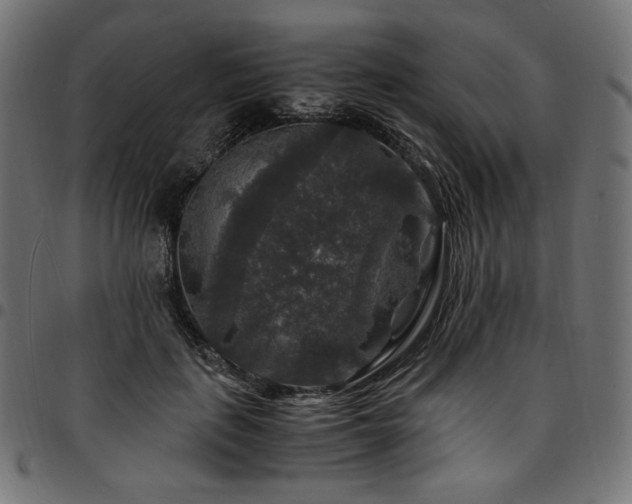 X0000095540651200712141526