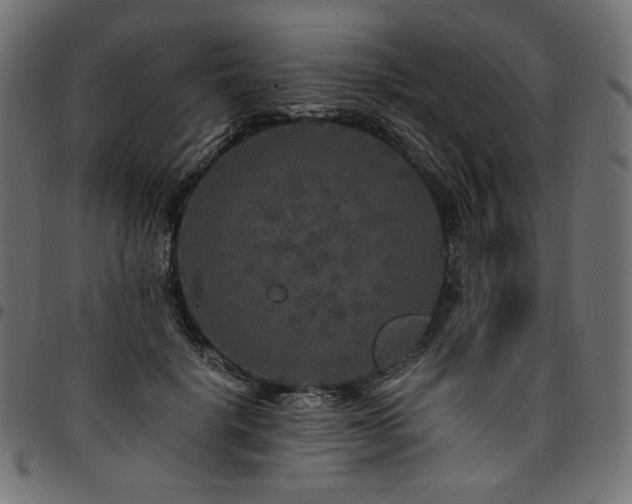 X0000095540652200712141526