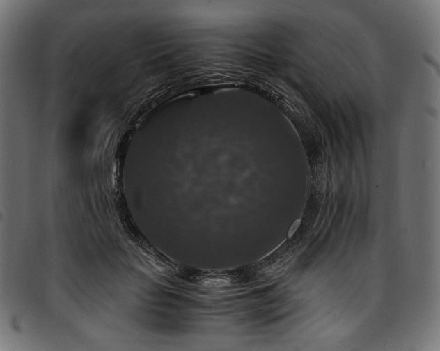 X0000095540653200712141526