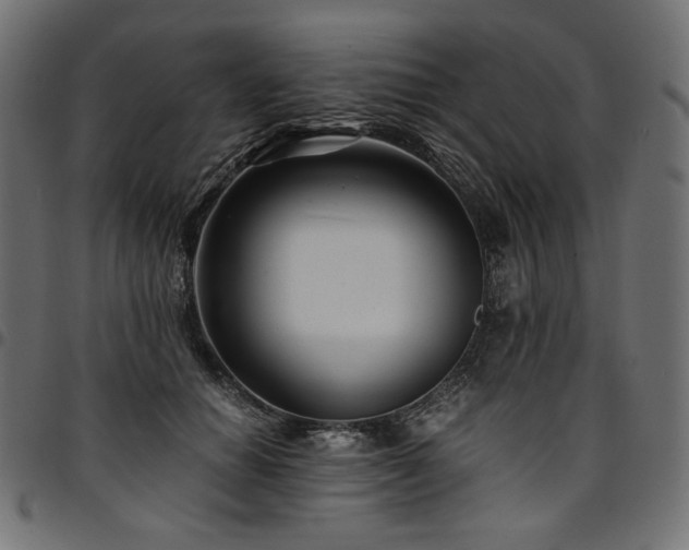 X0000095540654200712141526