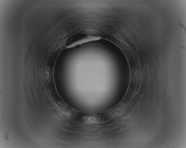 X0000095540655200712141526