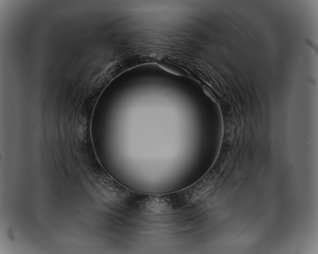 X0000095540656200712141526