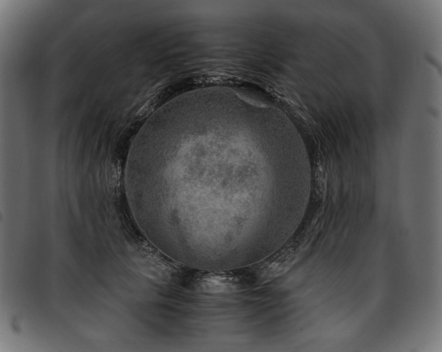 X0000095540657200712141526