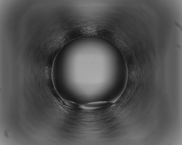 X0000095540658200712141526