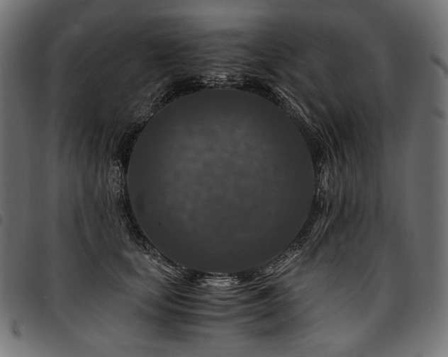 X0000095540659200712141526