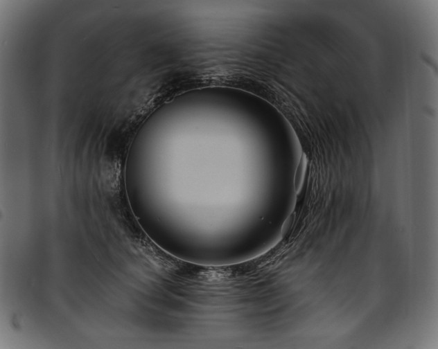 X0000095540660200712141526