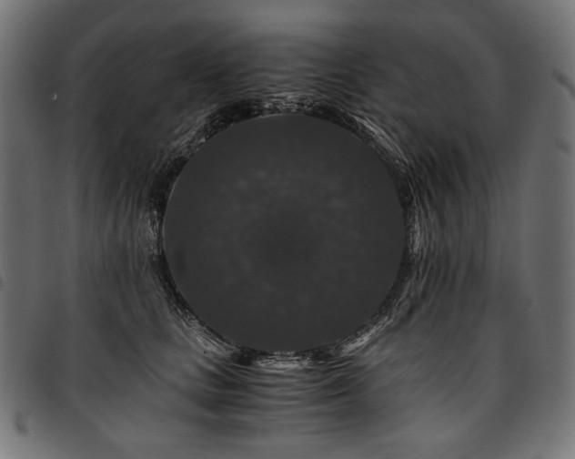 X0000095540661200712141526